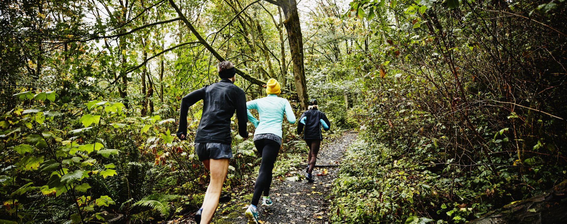 "Plogging" - the New Fitness Trend Perfect for Lovers of ...
