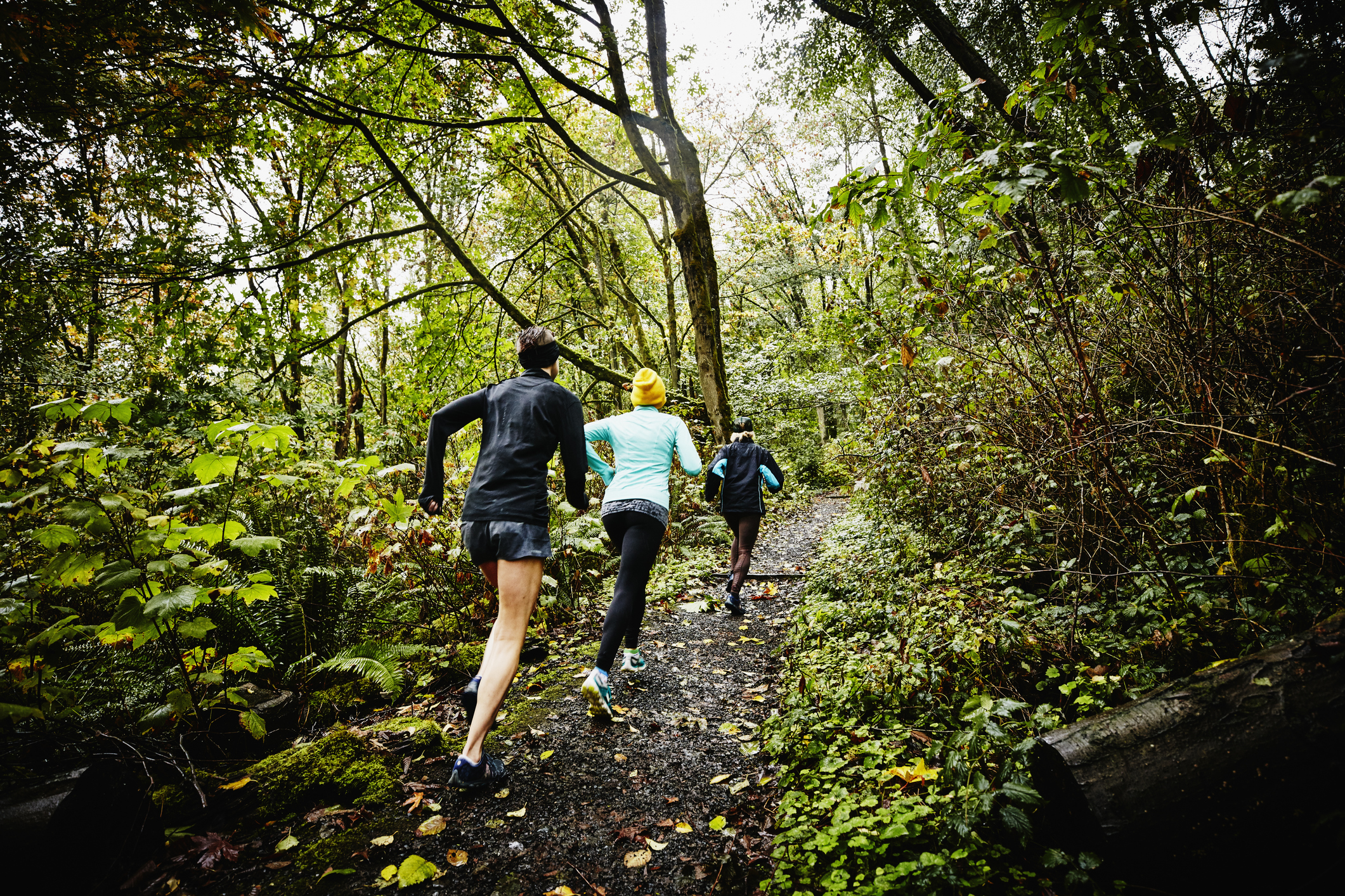 "Plogging" - the New Fitness Trend Perfect for Lovers of ...