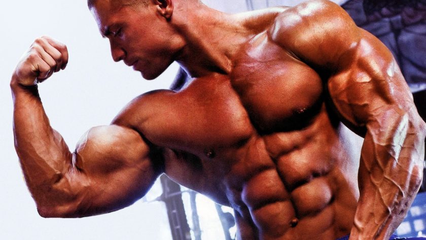 bodybuilding-univers-muscle: Bodybuilding Basics 101 ...